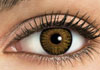 FreshLook ColorBlends Pure Hazel Contact Lens Detail