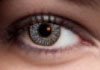 FreshLook ColorBlendsSterling Grey Contact Lens Detail