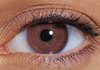 FreshLook Colors Hazel Contact Lens Detail