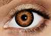 FreshLook Radiance Sunrise Contact Lens Detail