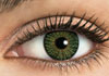 FreshLook One-Day Green Contact Lens Detail